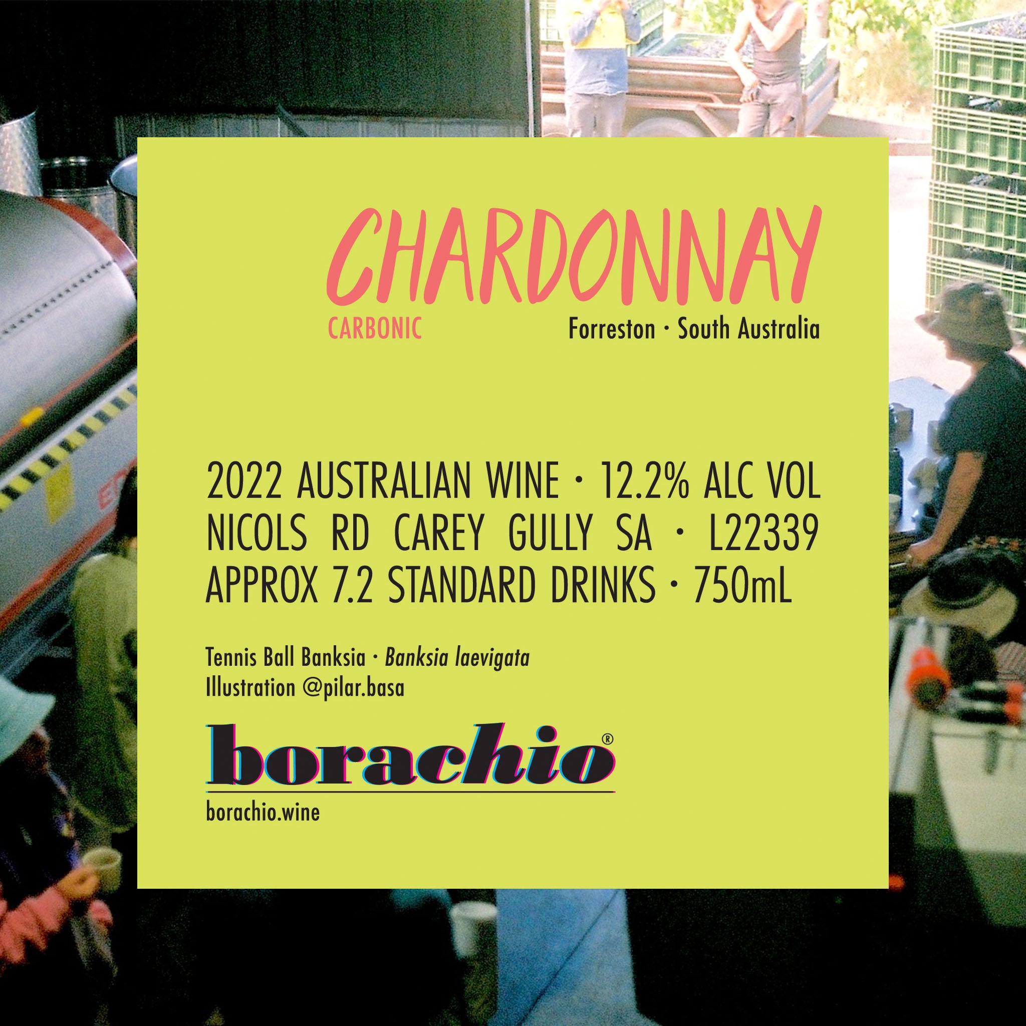 Borachio 2022 Chardonnay Carbonic 750 mL, back label. Yellow-green in colour, information includes wine and label illustration details.