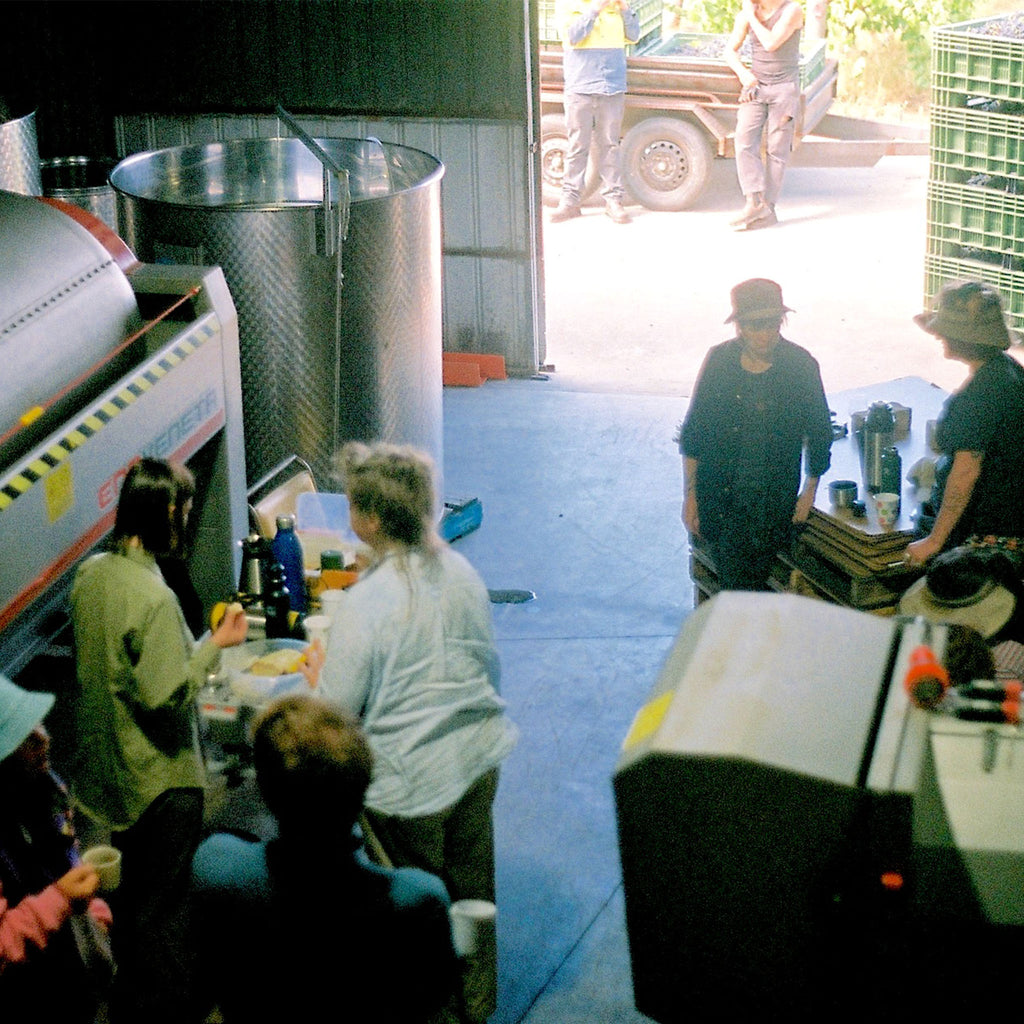 People inside and outside of winery having a smoko (morning tea break) on a sunny day, with crates of Grenache grapes in the background.