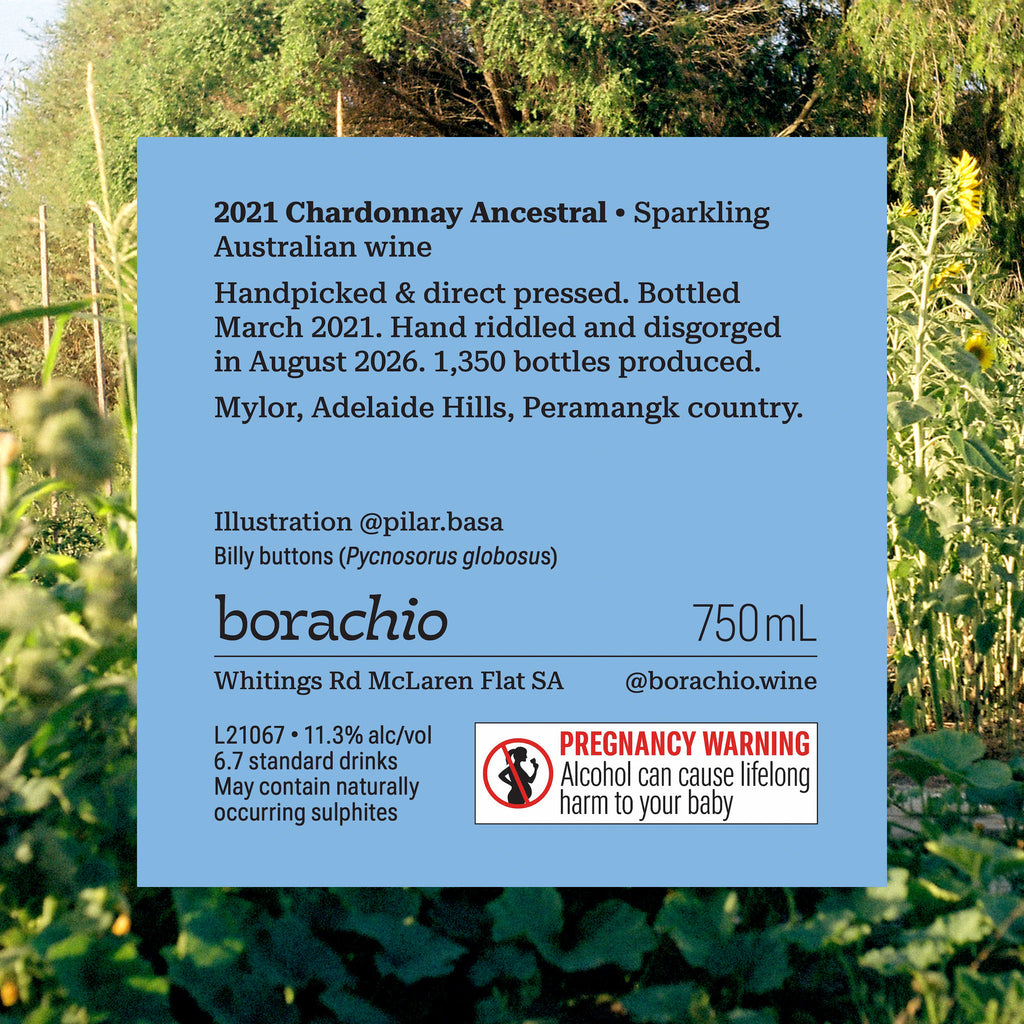 Borachio Chardonnay Ancestral 2021 750 mL, back label. Light blue in colour, information includes wine details and a pregnancy warning.