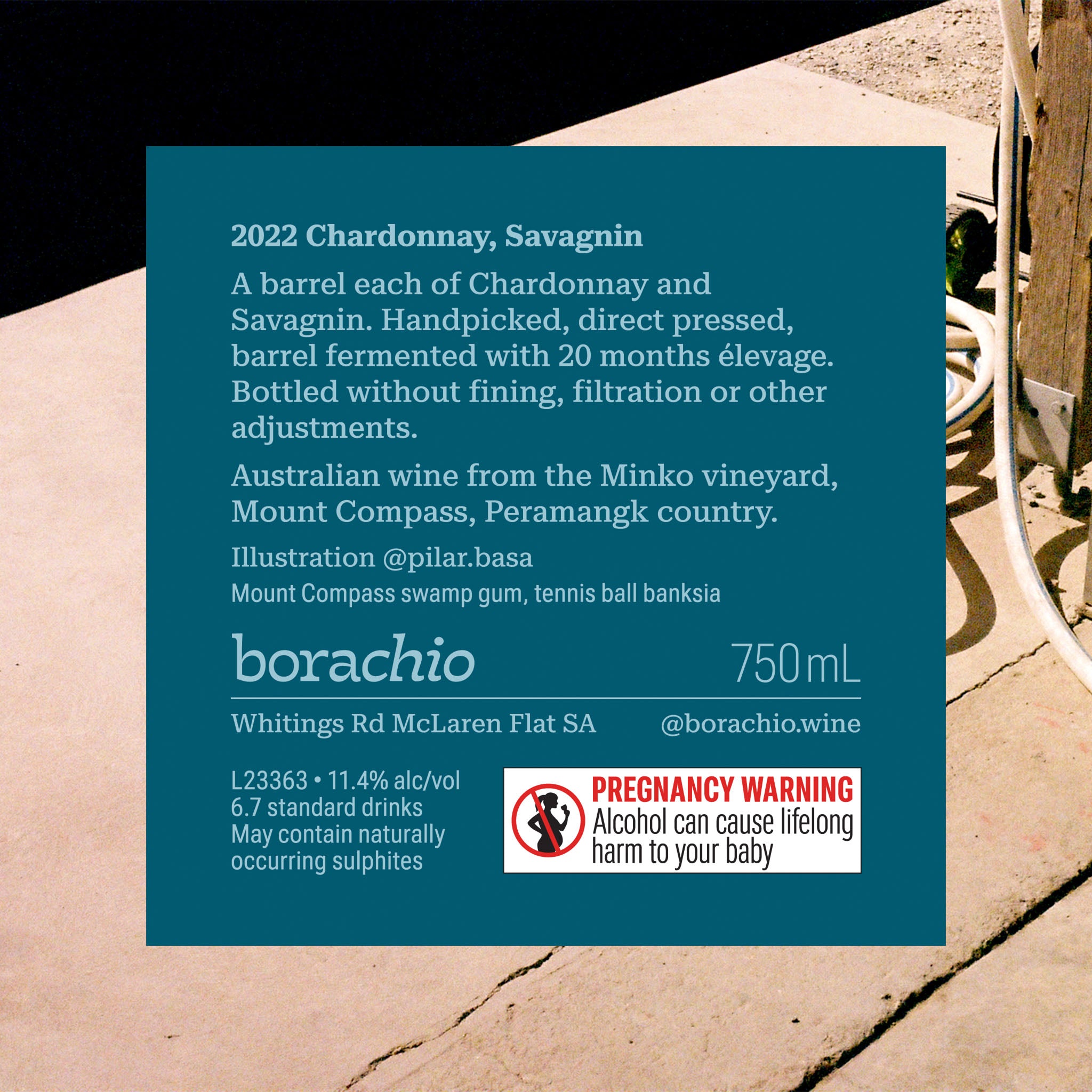 Borachio Chardonnay Savagnin 2022 750 mL, back label. Dark Teal in colour, information includes wine details and a pregnancy warning.