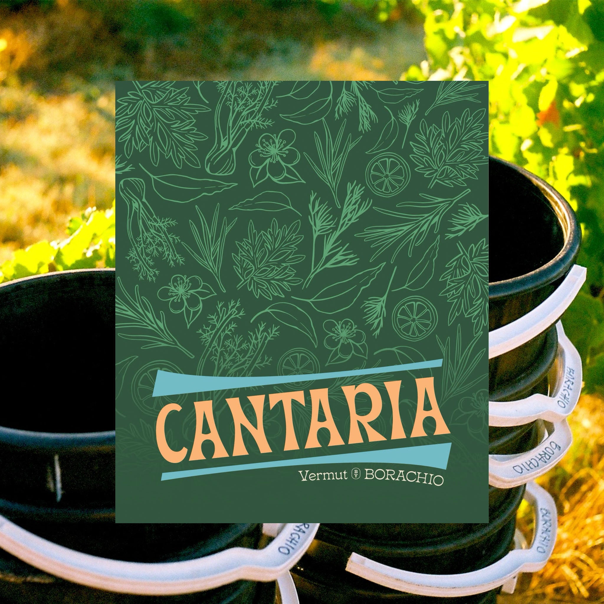 Cantaria Vermut