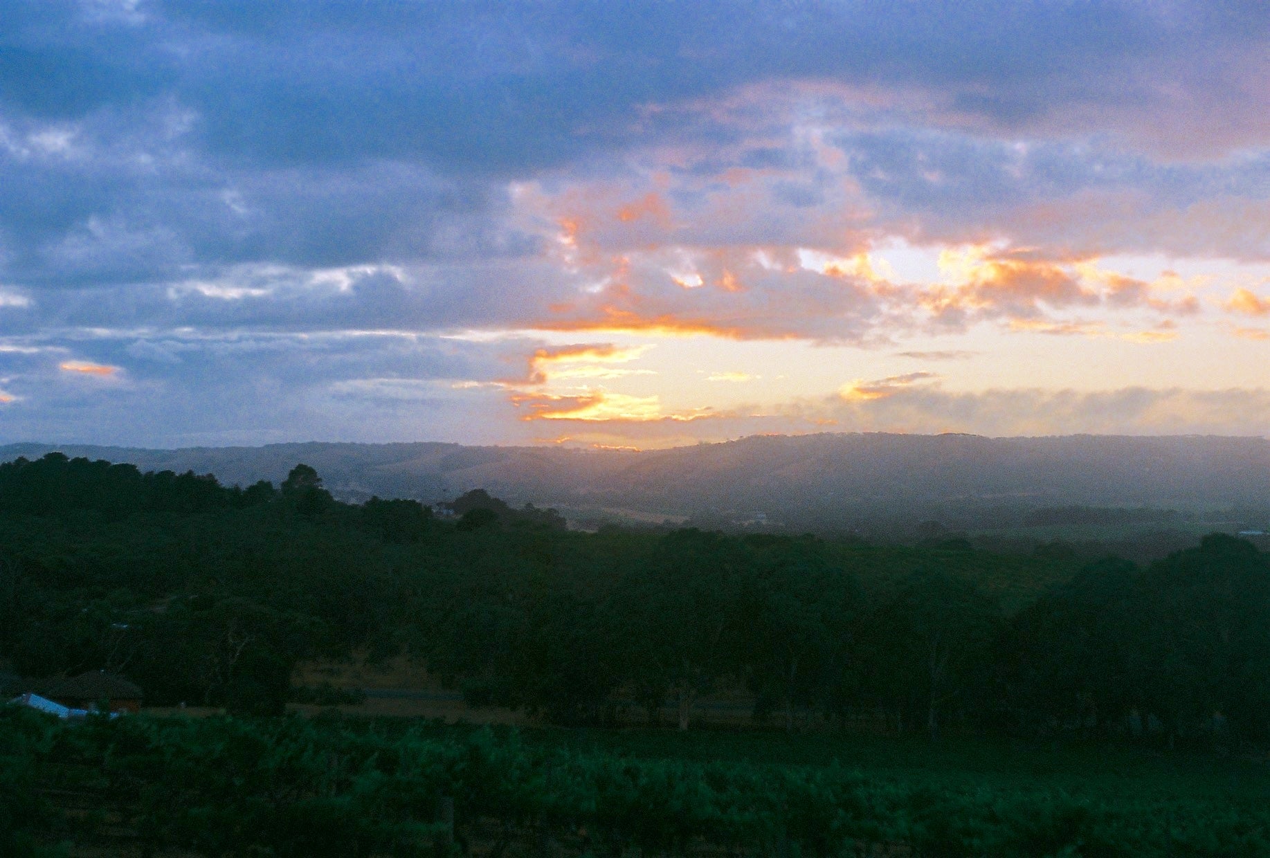 Cellar door experience