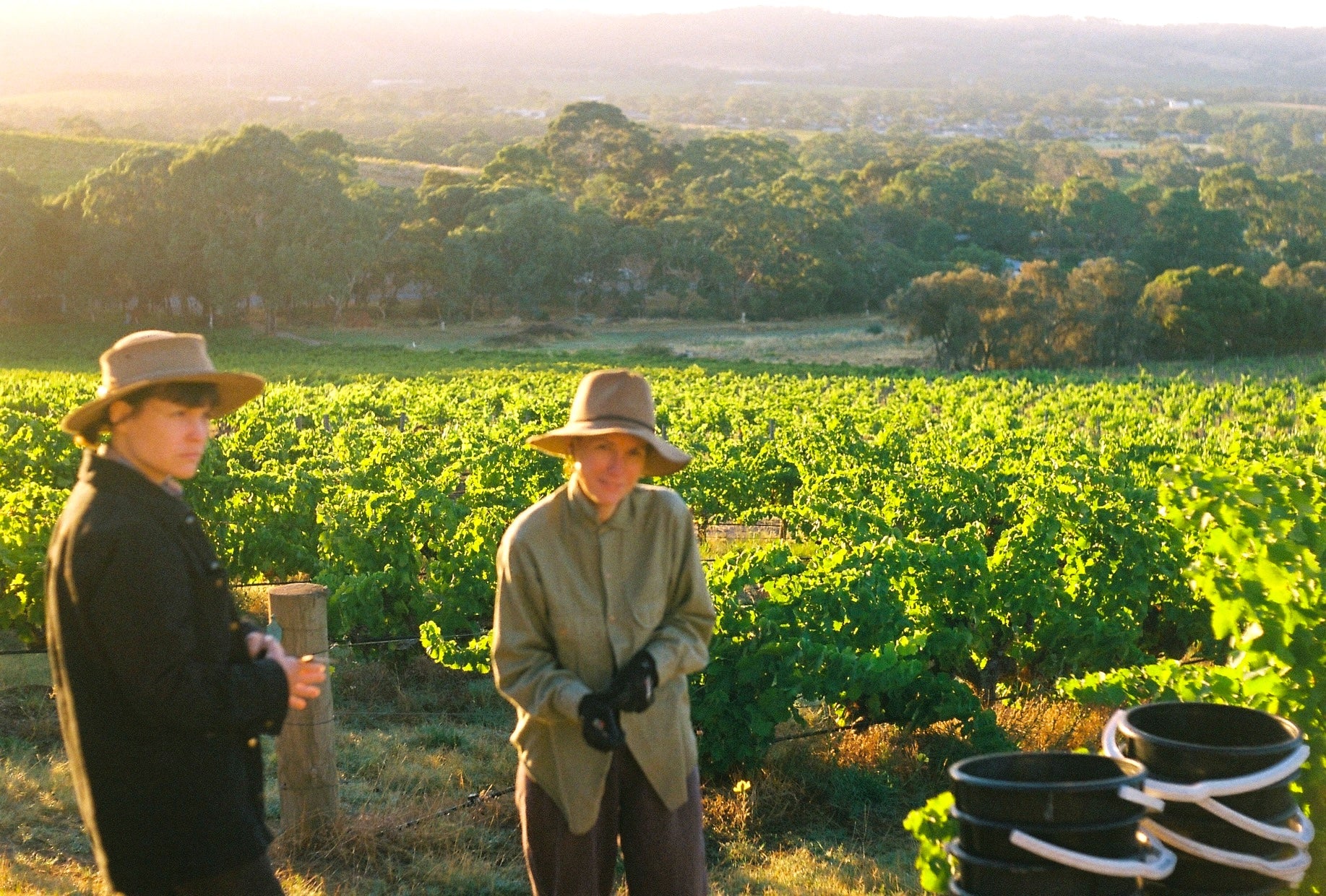 Two people standing in a vineyard, wearing wide-brimmed hats and work clothes, with black buckets in the foreground and rows of grapevines behind them.