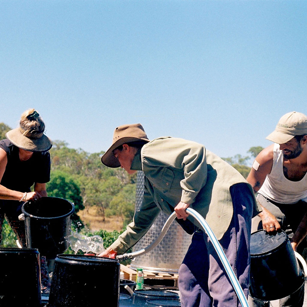 People cleaning harvest buckets outside on a sunny day, person in the foreground is holding a white hose with a red spray handle.