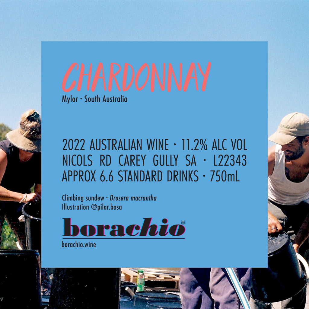 Chardonnay 2022 - Adelaide Hills, Mylor