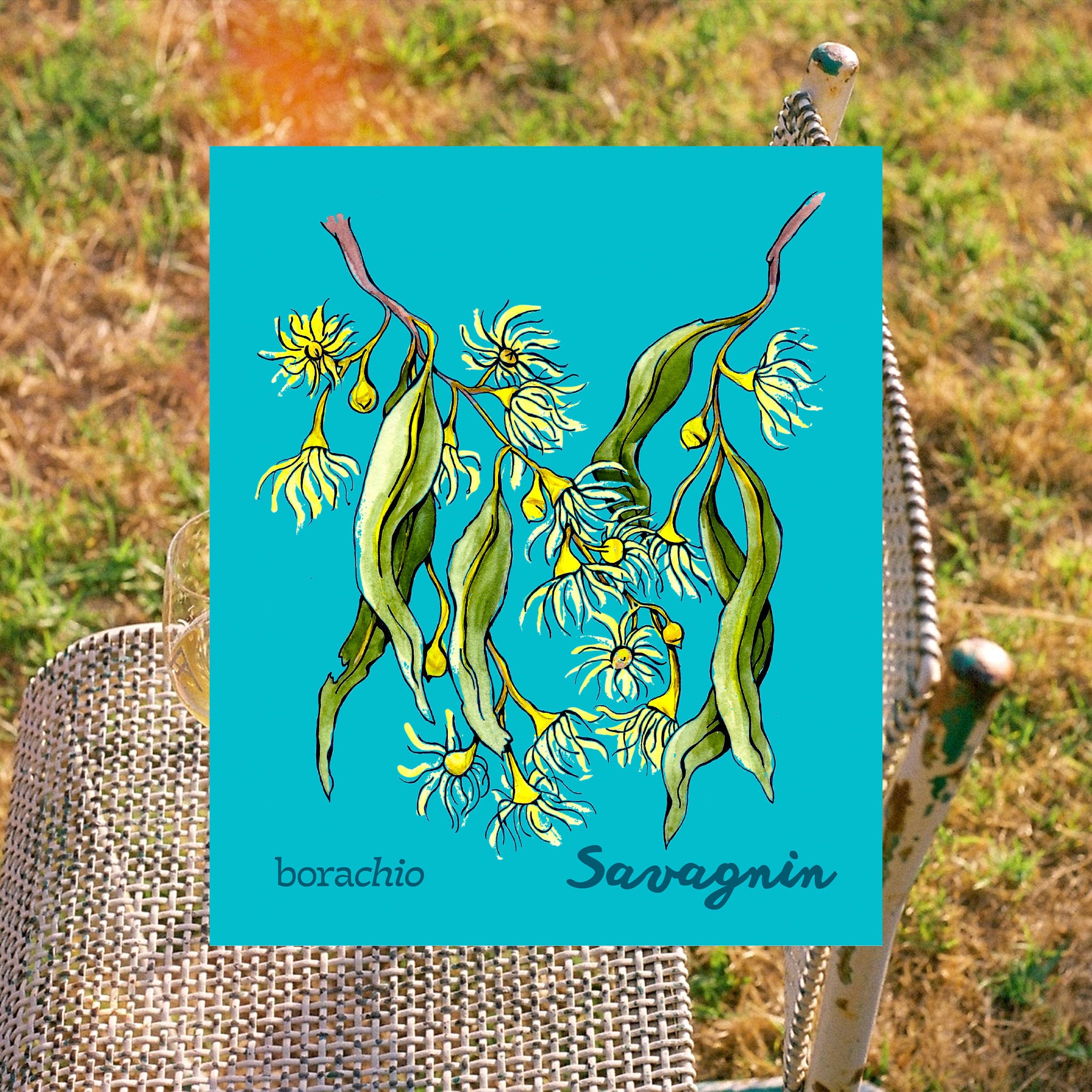 Savagnin 2022