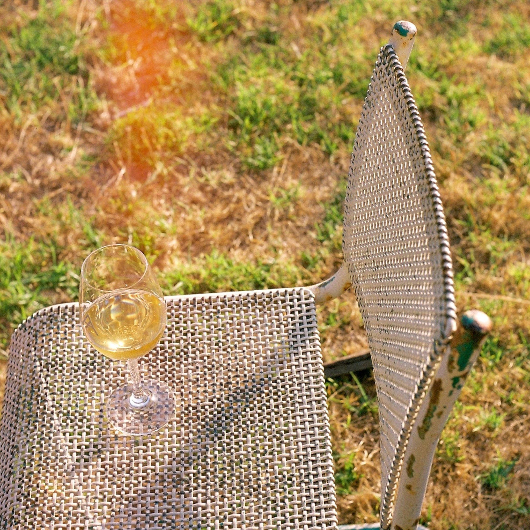 A close-up shot of a wine glass containing white wine on the seat of a mesh cantilever chair, set against a sunny, blurred grassy background.