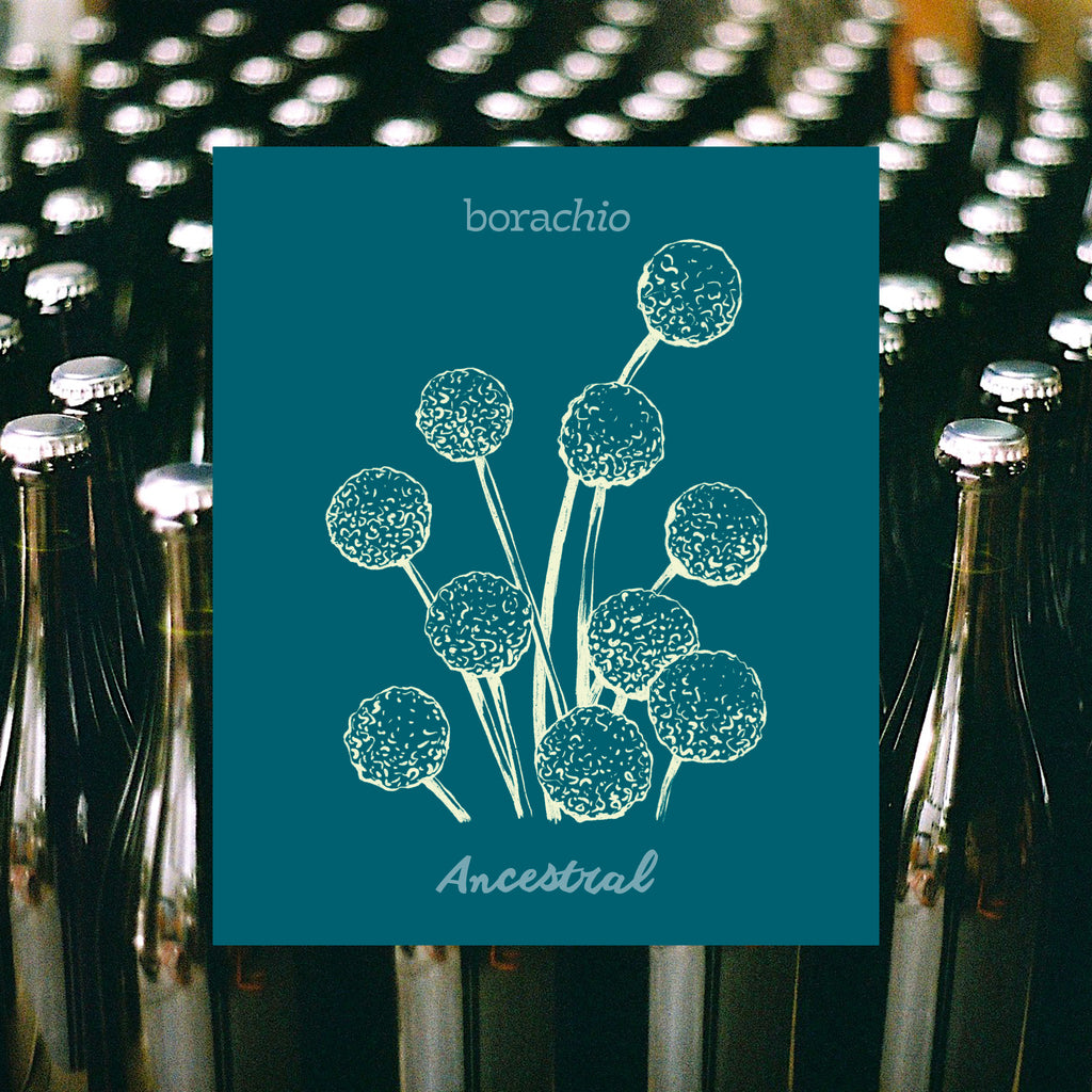 Savagnin Ancestral 2019 - Sparkling