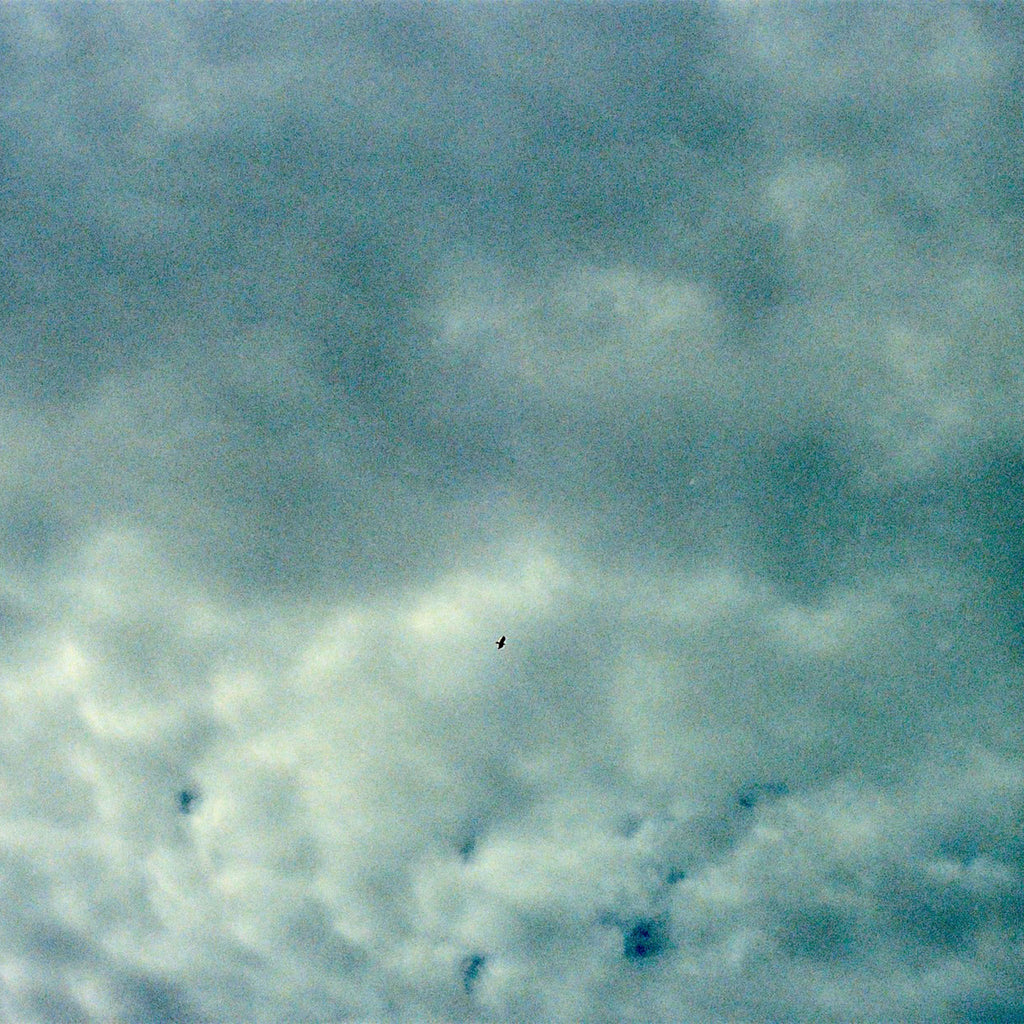 A cloudy sky with textured blue-gray and white clouds, with a wedge-tailed eagle silhouette near the centre.