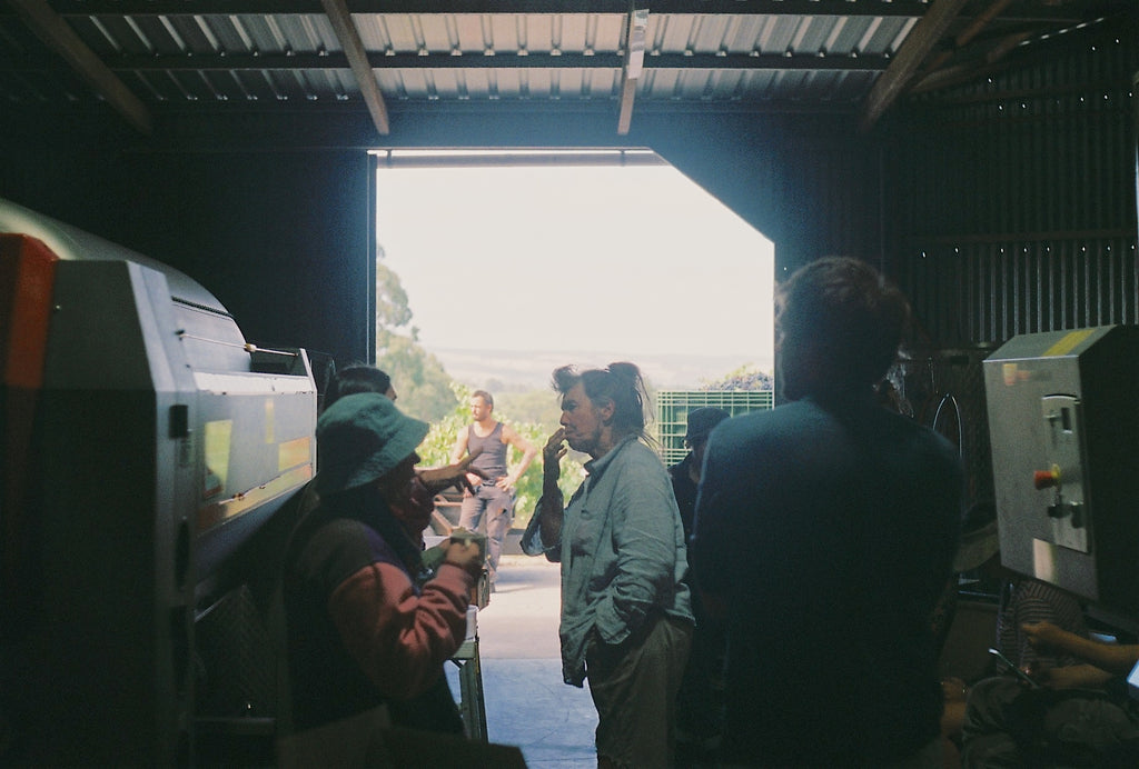 Cellar door experience