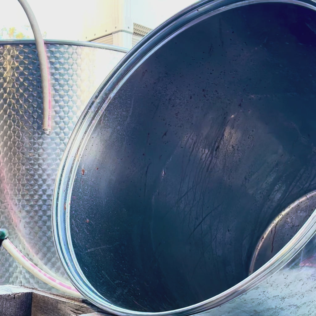 Savagnin Ancestral 2019 - Sparkling